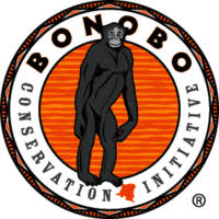 téléchargement (1)