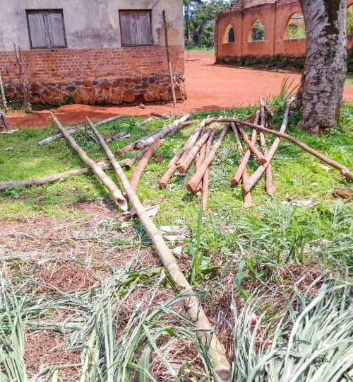 IMG_20250414_131727_906